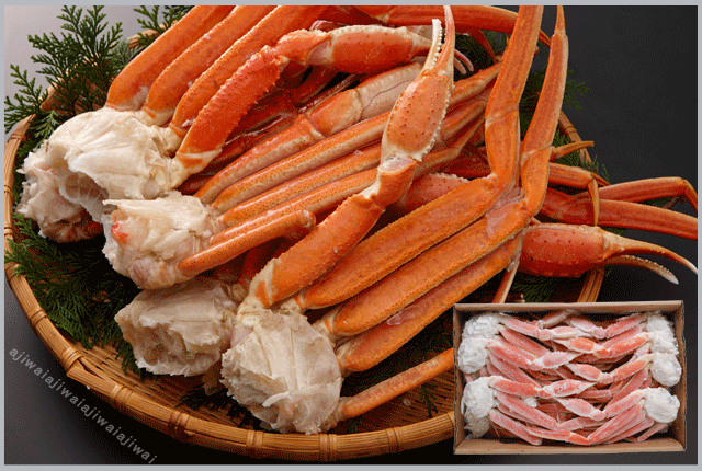 豪快　ジャンボずわいがに脚スペシャル　3kgセット（３L～４L)